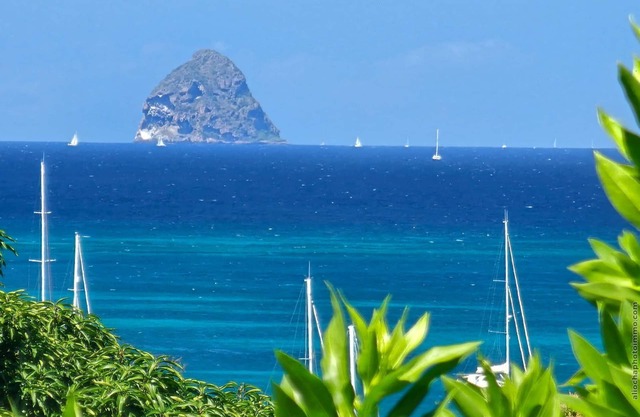 Creole and contemporary villa, pool, sea view and on the rock of the Diamond