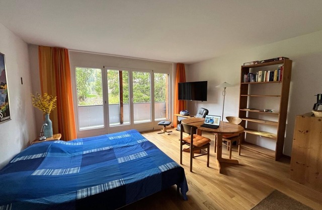 Cute vacation apartment in Davos on Lake Davos