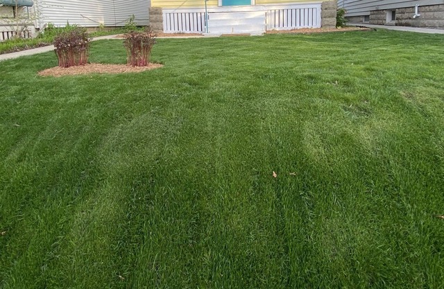 Cute, yellow 2BR Bungalow w/free garage and Wifi