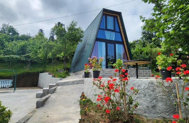 Daiana Green House