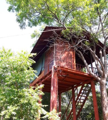 Dambulla Tree House