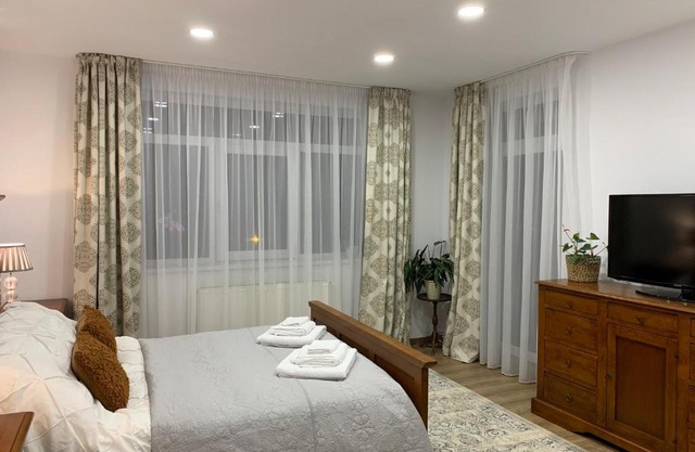 Dana House in Central Cluj