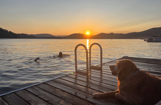 Deer Lake Cabin Retreat with private beach access - quiet clean lake!