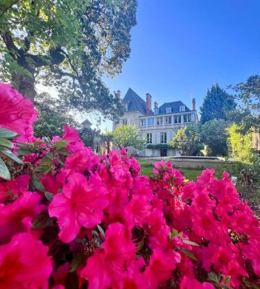 Demeure de Flore - Hôtel Particulier au Cœur de Brive comprenant 8 appartements de charme