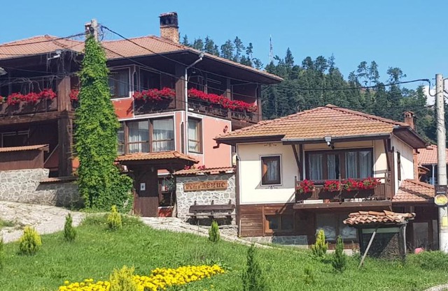 Denis Guest house