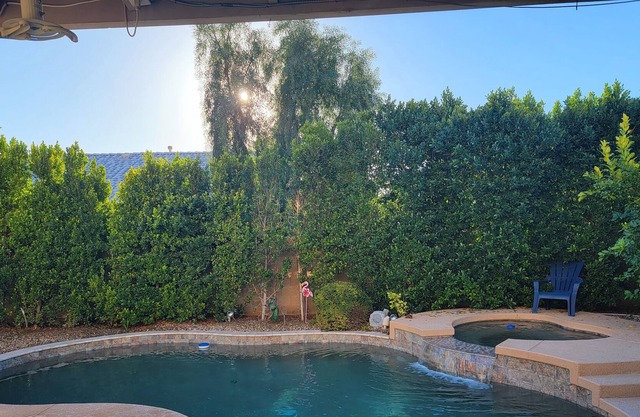 Desert Oasis. Backyard Resort, Pool, Hot Tub, outdoor kitchen.