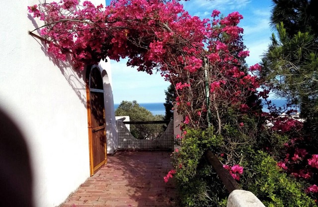 Detached villa Sea view Parking WiFi Terrace Dishwasher and washing machine Dog
