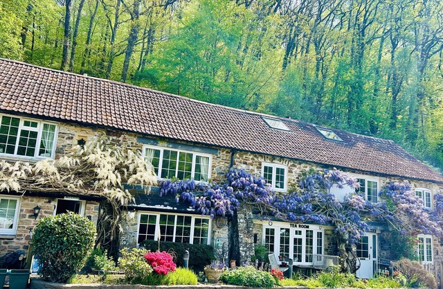 Devon 6-Bed Cottage with Country Views & Parking