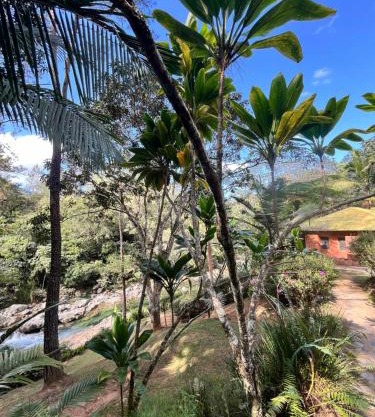 Diferencia eco retreat