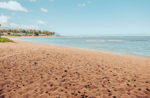 DIRECT SANDY BEACHFRONT just steps away fr the patio.Ground Fl.condo 1bed2ba2pkg