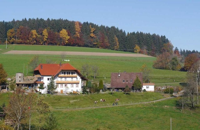 Dischhof