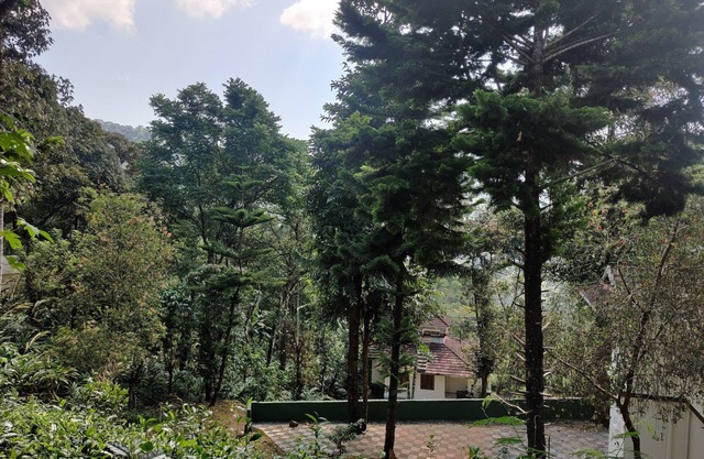 Disha plantation Resort