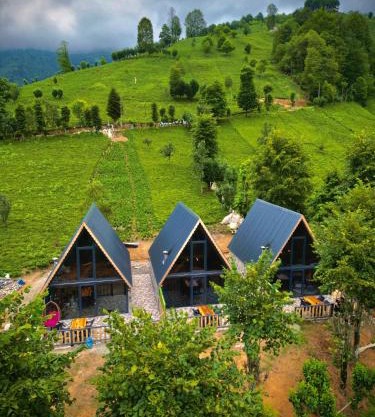 Doğallife suit bungalow