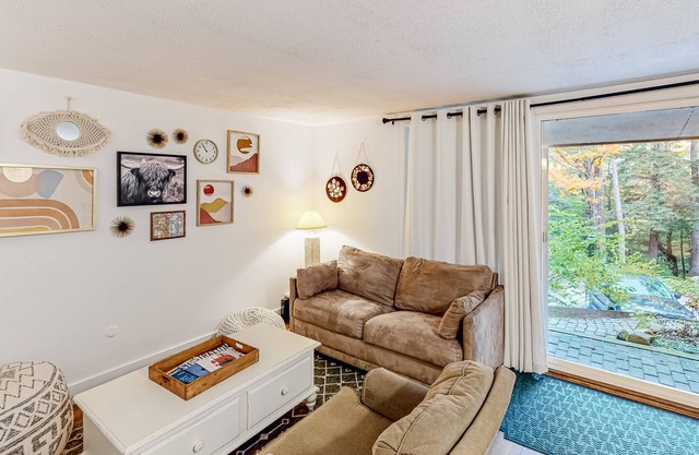 Dog-friendly cozy mountain condo with washer/dryer - minutes from slopes