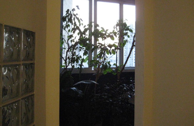 DOUBLE ROOM IN ALTO DA LAPA IN RESIDENCE