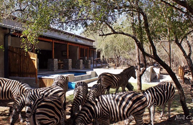 Dream of Africa Bush Lodge