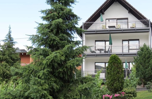 Dream view FEWO No. 12 - Holiday apartments "Haus Berghof"