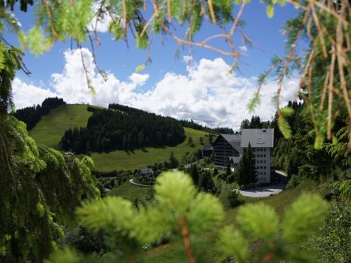 Dream view Simonhöhe