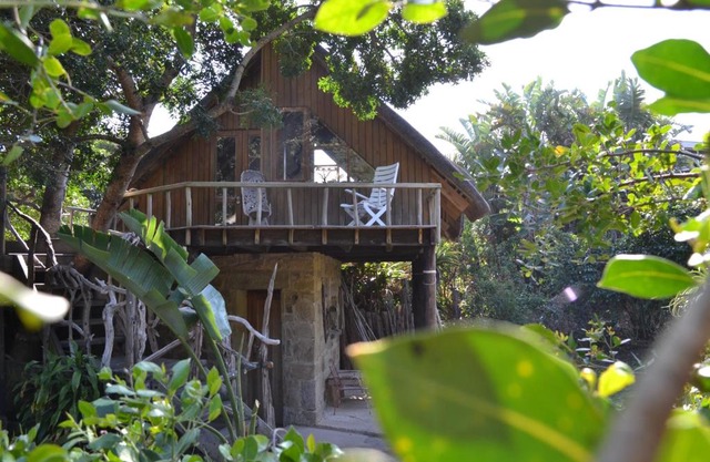 Driftwood Treehouse