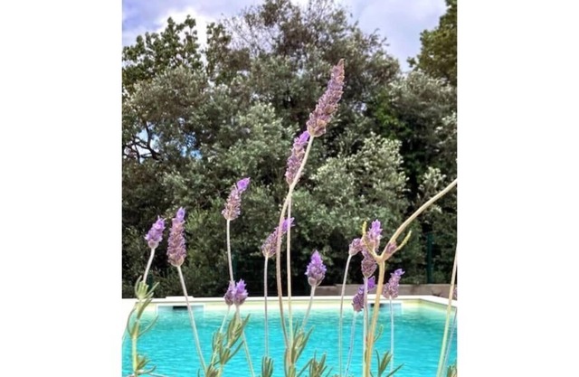 Dukes' House - Abiul, Pombal