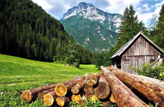 Easy, affordable access to Oakland and San Francisco attractions