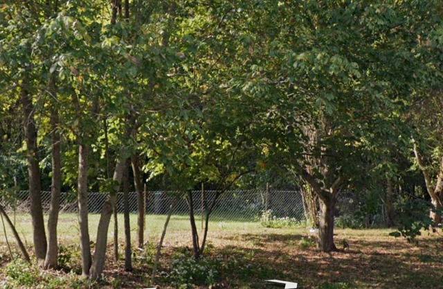 Eclipse Campsite 1