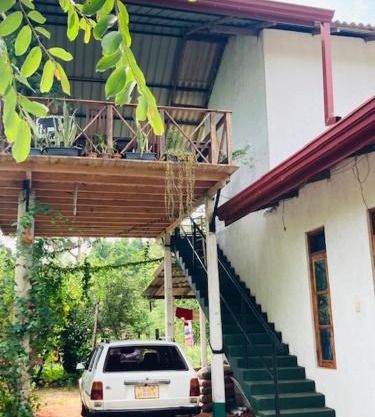 eco house