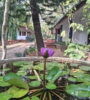 Eco Nature Rest