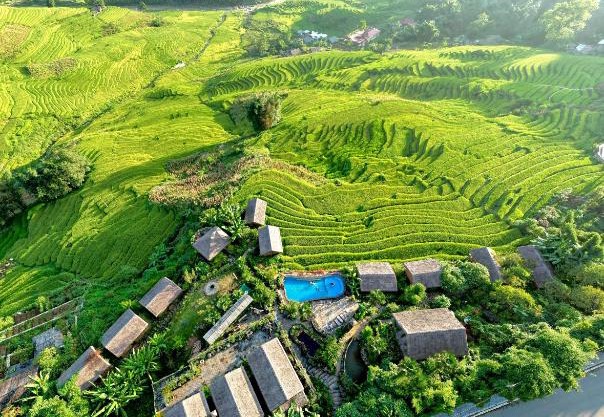 Eco Palms House - Sapa Retreat