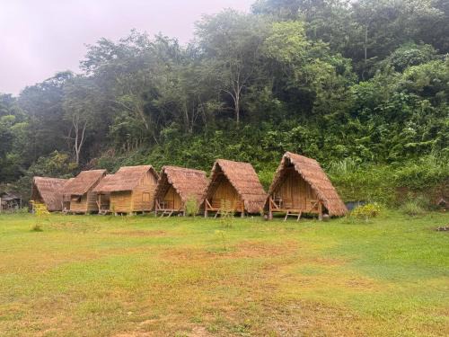 Eco Resort Laos