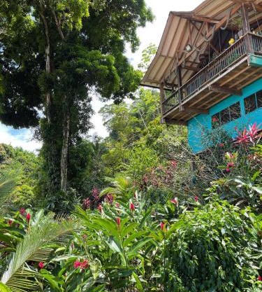 Ecolodge el Arca Bahia Solano