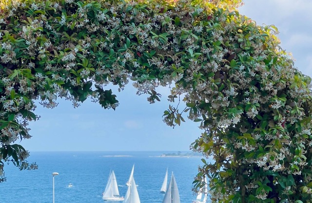 Eden Sea Cannes Stunning Sea Views Cozy Villa