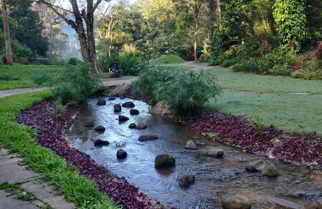 Ekantha Wellness - Kodai Hills