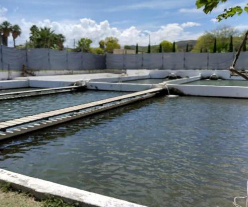 El salto del Río Conchos
