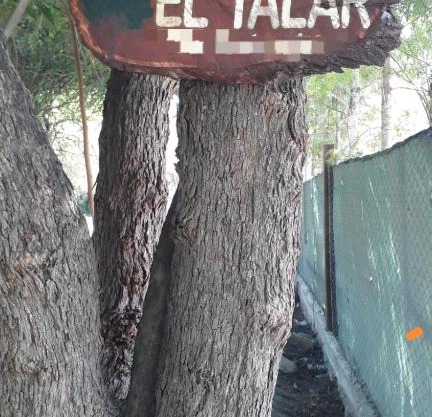 EL TALAR 1