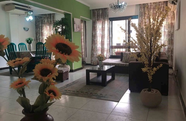 Elegant Apt. nearby City Stars Mall