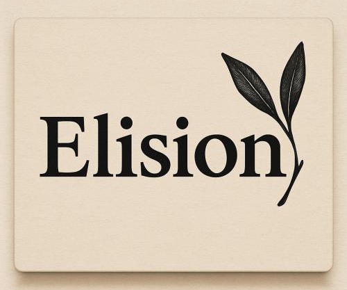 Elision