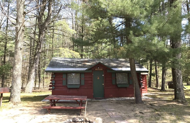 Ellis Lake Resort - Birch Log Cabin-Interlochen/Traverse City