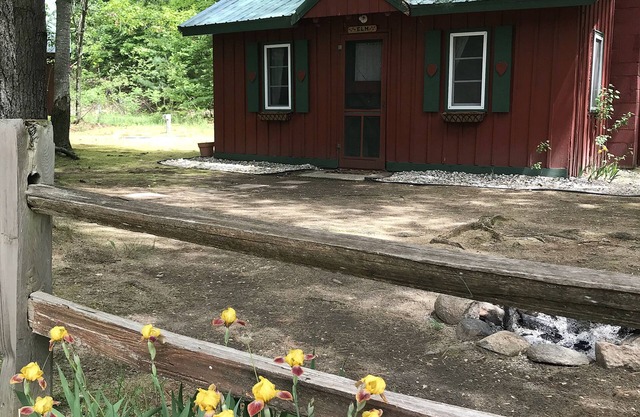Ellis Lake Resort - Elm Log Cabin-Interlochen/Traverse City