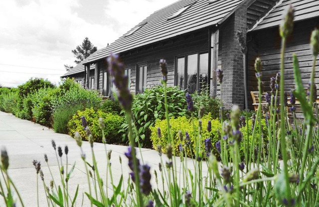 Elm Tree Farm Accommodation
