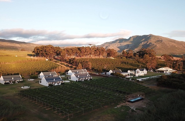 Endless Vineyards at Wildekrans Wine Estate