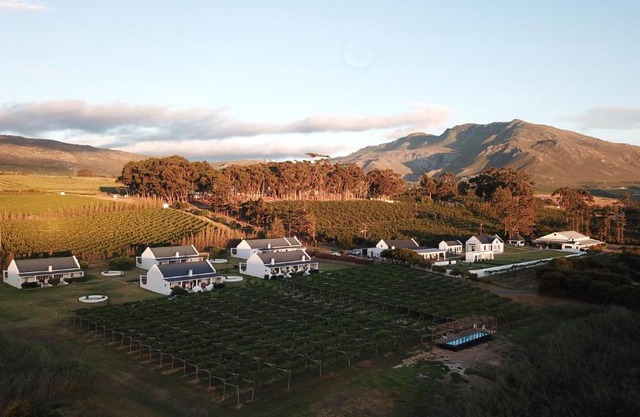 Endless Vineyards at Wildekrans Wine Estate