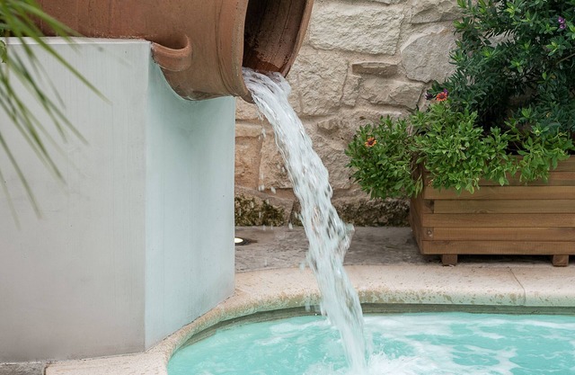 Enjoy a glass of wine in the pool!