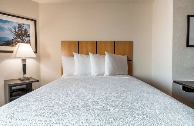 Enjoy Daily Coffee & Cozy Beds in 2 Thoughtful, Pet-Friendly Suites