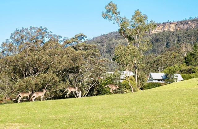 Enjoy outstanding views from this one bedroom cabin