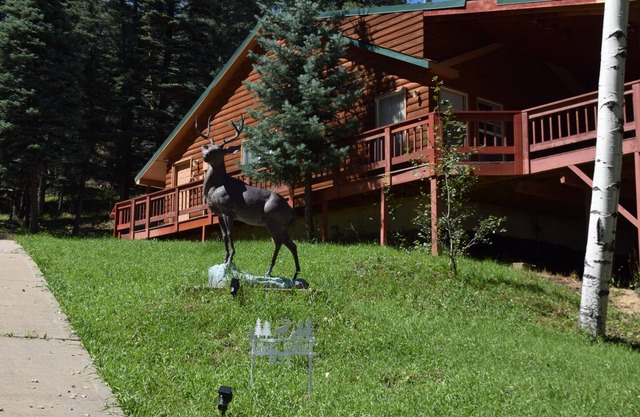 Enjoy this Mountain Home near lake and wildlife of plenty