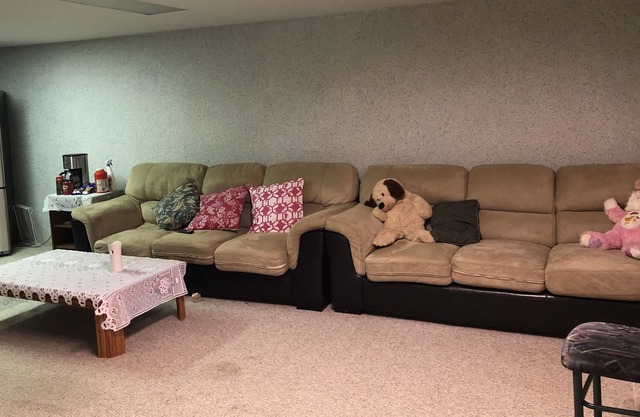 Entire Basement