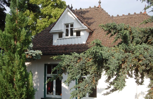 Entire villa on a large garden plot by the park