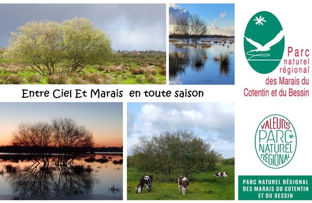 Entre Ciel et Marais