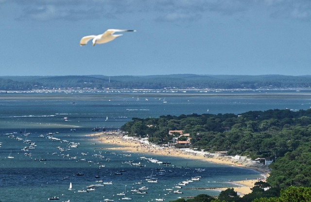 Escape to Pyla: Beach, Forest & Dune Retreat